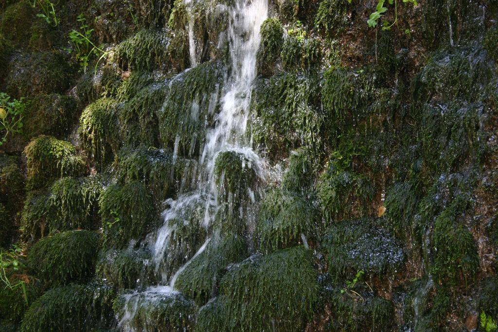 Alojamiento Rural Sierra De Gudar Valbona Esterno foto